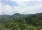 Lai Châu: Chấm dứt khai thác mỏ đồng Nậm Ngã