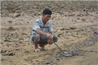 Quảng Nam: Cả chục tạ cá chết la liệt ở hồ thủy lợi