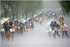 Ảnh: Siêu bão Nepartak tàn phá đảo Đài Loan
