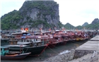 Bão số 1: Quảng Ninh cấm tàu thuyền ra khơi