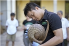 Thêm 20 cá thể tê tê Java được tái thả về với tự nhiên