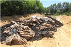 'Không thể chôn bừa bãi chất thải Formosa'