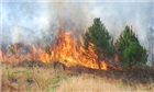 Nhiều khu vực có nguy cơ cháy rừng cao