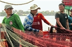 Quảng Bình: Chính quyền và ngư dân chung tay sau sự cố ô nhiễm môi trường biển