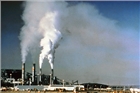 TP.HCM kiến nghị việc cưỡng chế các cơ sở ô nhiễm chây ì