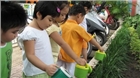 Trang bị cho trẻ mẫu giáo kiến thức bảo vệ môi trường