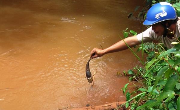 Bộ TNMT nói gì về sự cố tràn xút làm cá chết, người bị mẩn ngứa ở Đắk Nông?