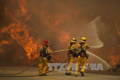 Cư dân California và động vật quý 