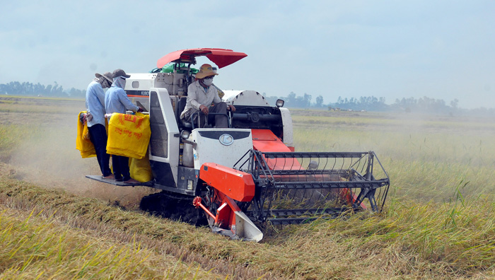 Ứng dụng công nghệ mới vào sản xuất góp phần nâng cao đời sống nông dân