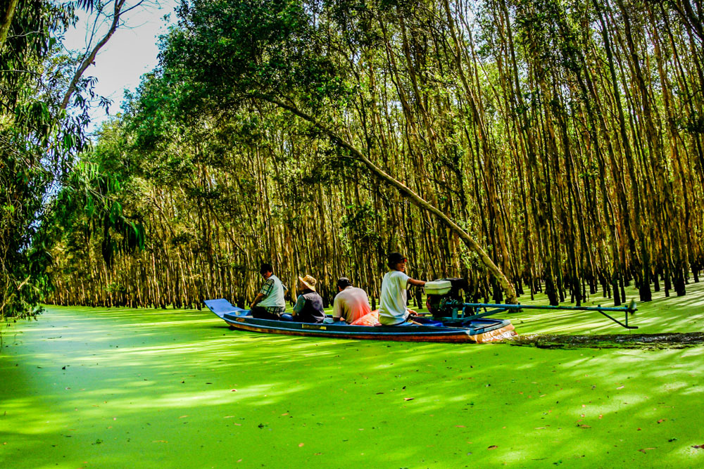 Khám phá An Giang mùa nước nổi