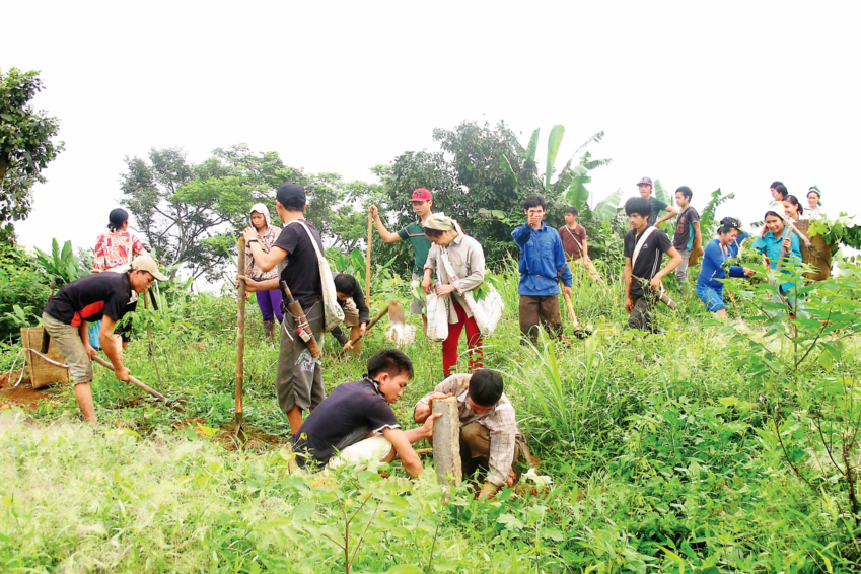 Quản lý rừng bền vững: Gắn với cộng đồng thôn bản