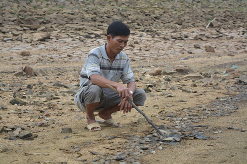 Quảng Nam: Cả chục tạ cá chết la liệt ở hồ thủy lợi