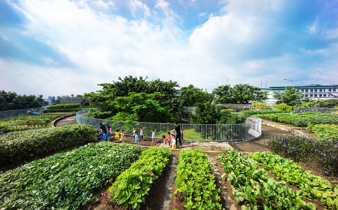 Vườn rau khổng lồ trên nóc công trình Việt từng đoạt giải quốc tế