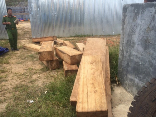 Kiểm lâm nhiều lần tìm thấy gỗ lậu gần trạm biên phòng