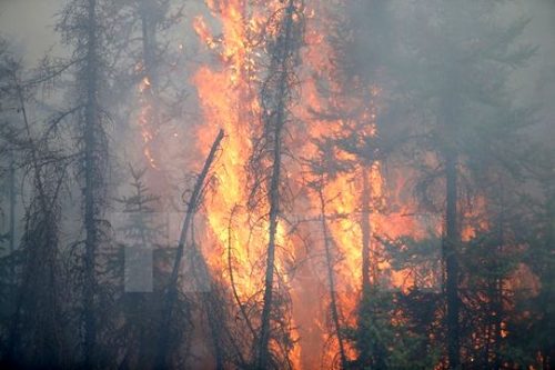 Canada khống chế được vụ cháy rừng kéo dài suốt 2 tháng qua