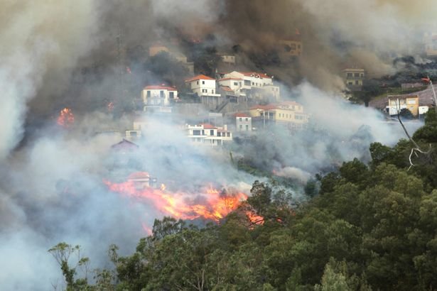 Cháy rừng dữ dội ở Bồ Đào Nha, 3 người chết