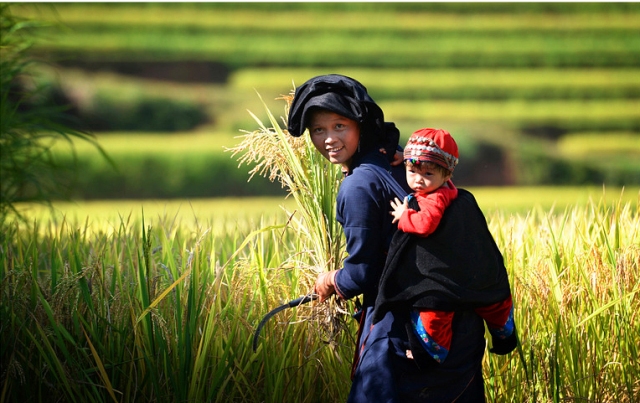 Đất và Người Hoàng Su Phì qua góc nhìn của hai nhiếp ảnh gia không chuyên