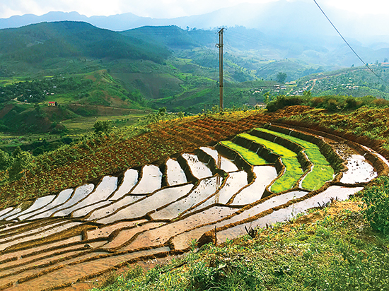 Đường lên đỉnh cao nhất dãy Trường Sơn Nam