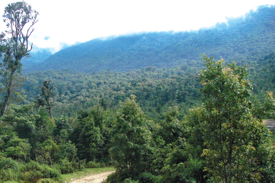 Lào Cai: Thêm một Khu bảo tồn thiên nhiên