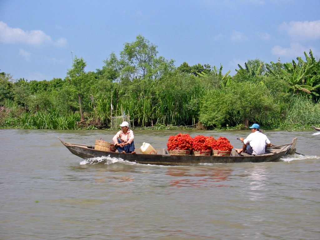 Ứng xử với nguồn nước Mê Kông: Cần sự hợp tác từ các bên