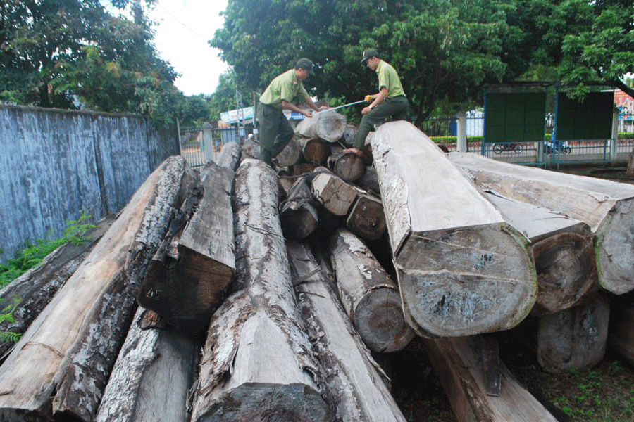 nhiều vụ vận chuyển gỗ trái phép