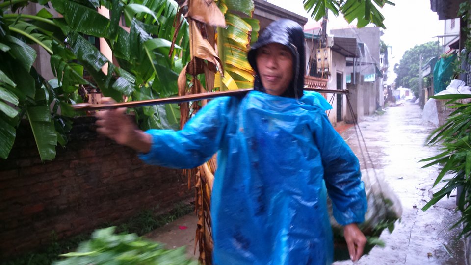 Hà Nội: Rau xanh đội giá, đồng ruộng xơ xác sau khi bão tan