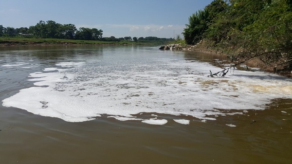 Sông Đáy “hấp hối” vì ô nhiễm môi trường