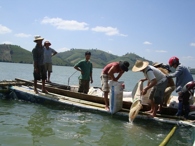Kon Tum: Thả hơn 45.000 con cá giống tái tạo nguồn lợi thủy sản