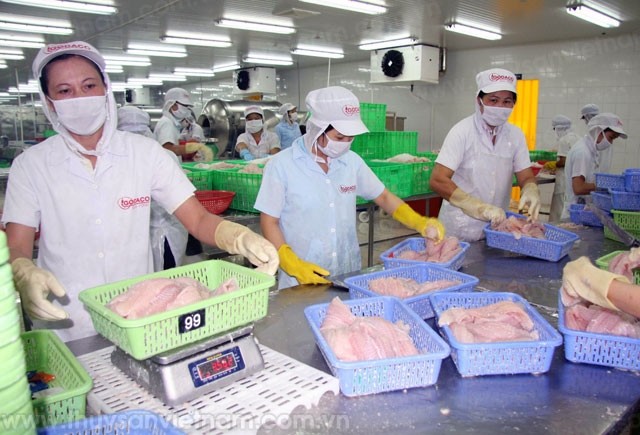 Trung Quốc đứng top 3 thị trường ăn cá tra Việt Nam