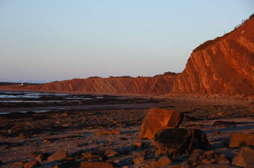 Vách đá Joggins - Nơi duy nhất lưu trữ hóa thạch nguyên vẹn